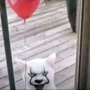 bdjamal.