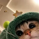 leahm99