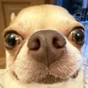 kaitouwuno