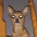 porktuga