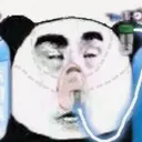 _bop29