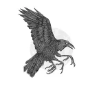 paolini.186