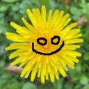 avatar TotallyNotACircle