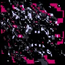 _siegman_
