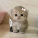 isabxdlol