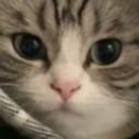 anonkilla