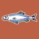 dschone24