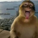 avatar ༒ 𝐔𝐧𝐫𝐞𝐟𝐢𝐧𝐞𝐝𝐝༒