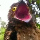 avatar sussyyyyyyyyyyyyyy