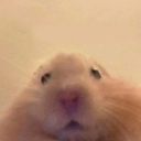 avatar sussyyyyyyyyyyyyyy