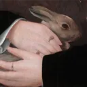 perigrinne.