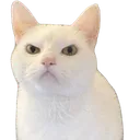 4k0d