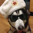 mawfox