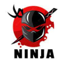 realninja3597