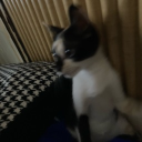 avatar เบียวว่ะ