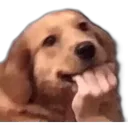 doomslayer2909