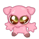 syndreg