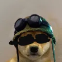 yourcasualmemelord7065
