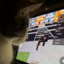 avatar 𝓐𝓻𝓲𝓪𝓷𝓷𝓪🐾