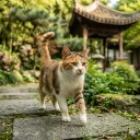 tianchou