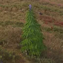 gmo___