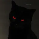 vrynovex