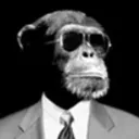 mr.monke2209