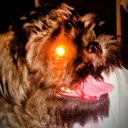 justmattgaming. avatar