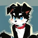 gohe_