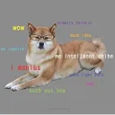 teslashibe