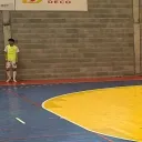 digmigpt