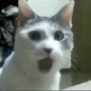 nackdack