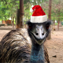 avatar emu