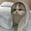 solana_hustler
