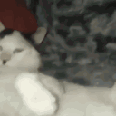 avatar Kettenraucher