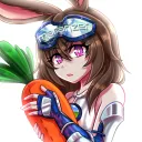 mararizer