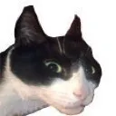 carcinogensda
