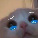 keloloo