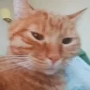 Аватар yaroshivan