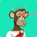 daring_avocado_02315