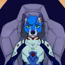 spekifolf
