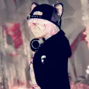 kanekosmos