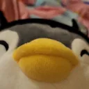 vlok.