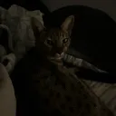 plussterling