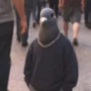 .eleditor