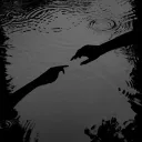 ark_ane