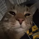 joshher