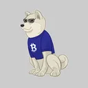 shibastyle.