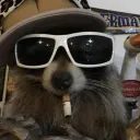 thosedamnraccoonz