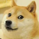 doge7157